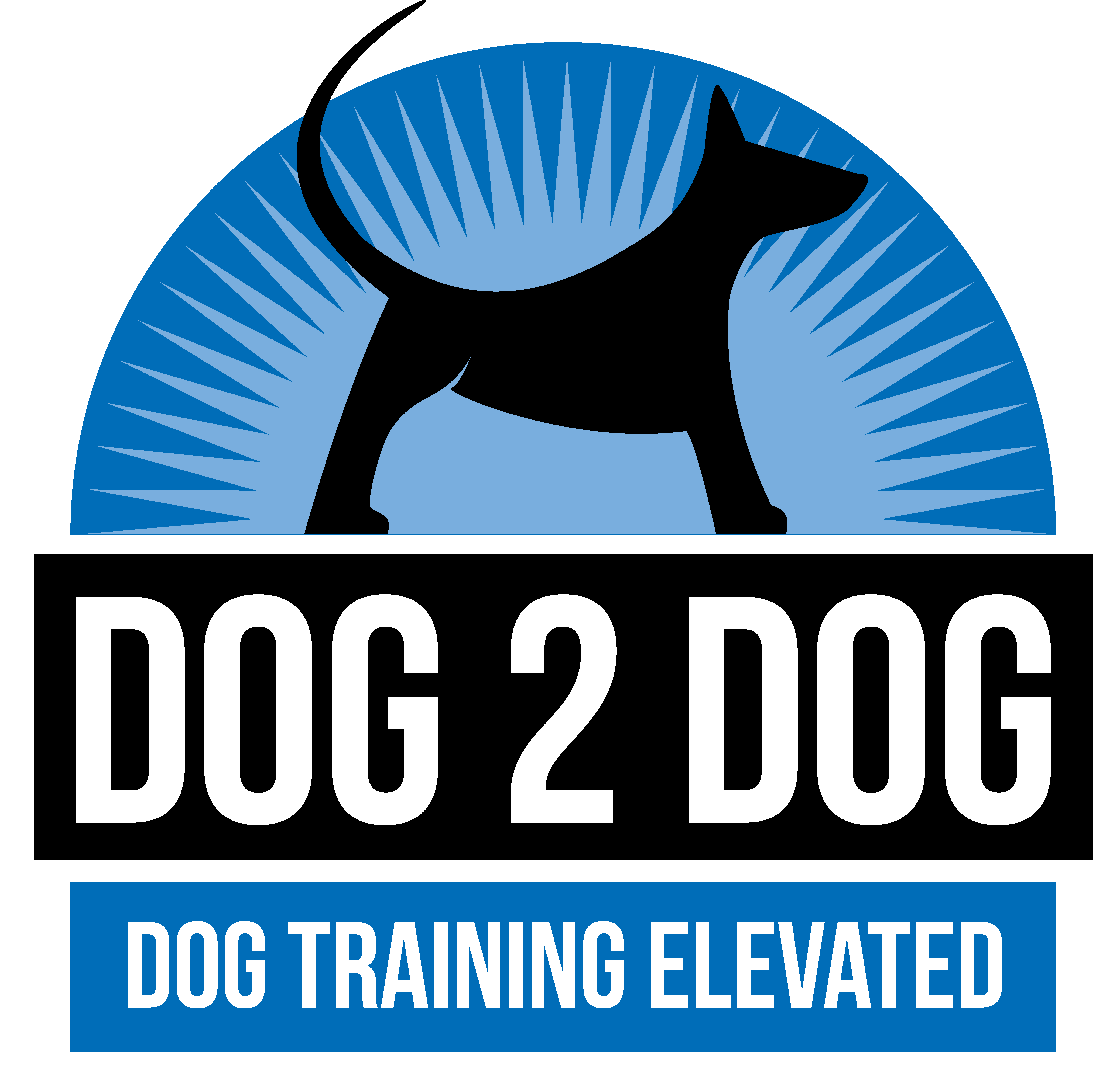 Dog Training Salt Lake City | Dog 2 Dog