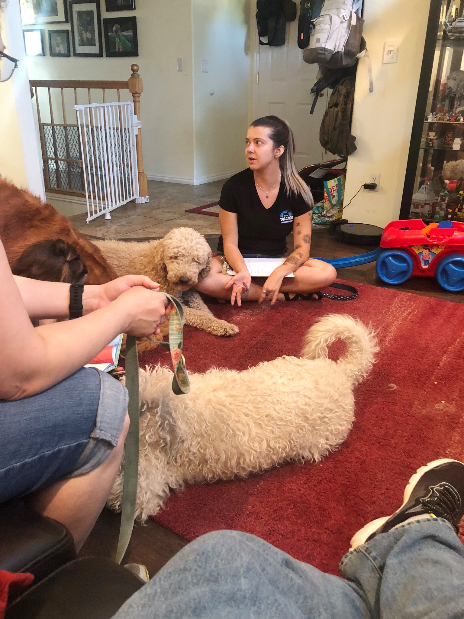 Samantha is a dog trainer with students indoor