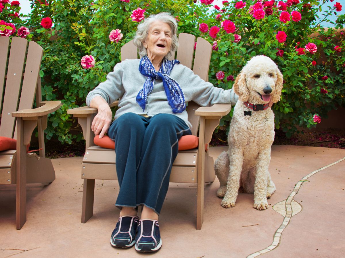 service dog training with an elderly woman