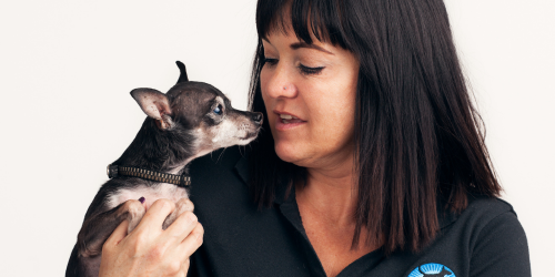 Master dog trainer, Darcy Phillipps, during obedience training